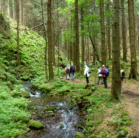 p1010098_1_1