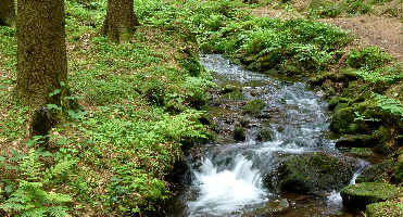 p1010099_1_1