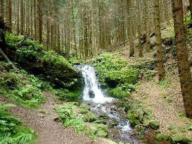 p1010102_1_1