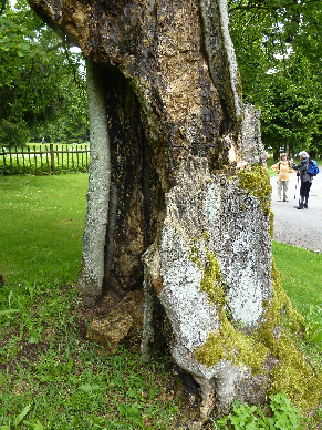 p1010114_1_1